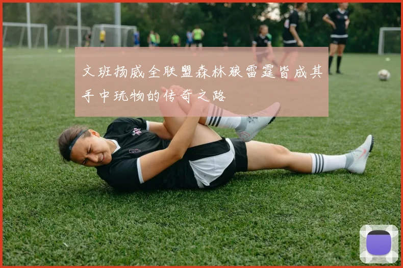 文班扬威全联盟森林狼雷霆皆成其手中玩物的传奇之路