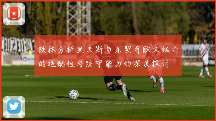 铁林分析里夫斯与东契奇欧文组合的适配性与防守能力的深度探讨