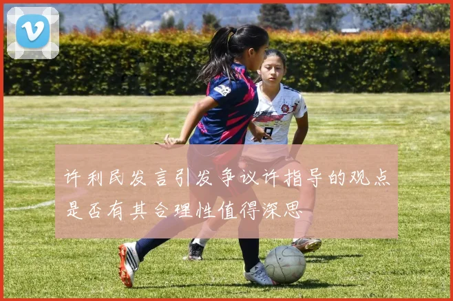 许利民发言引发争议许指导的观点是否有其合理性值得深思